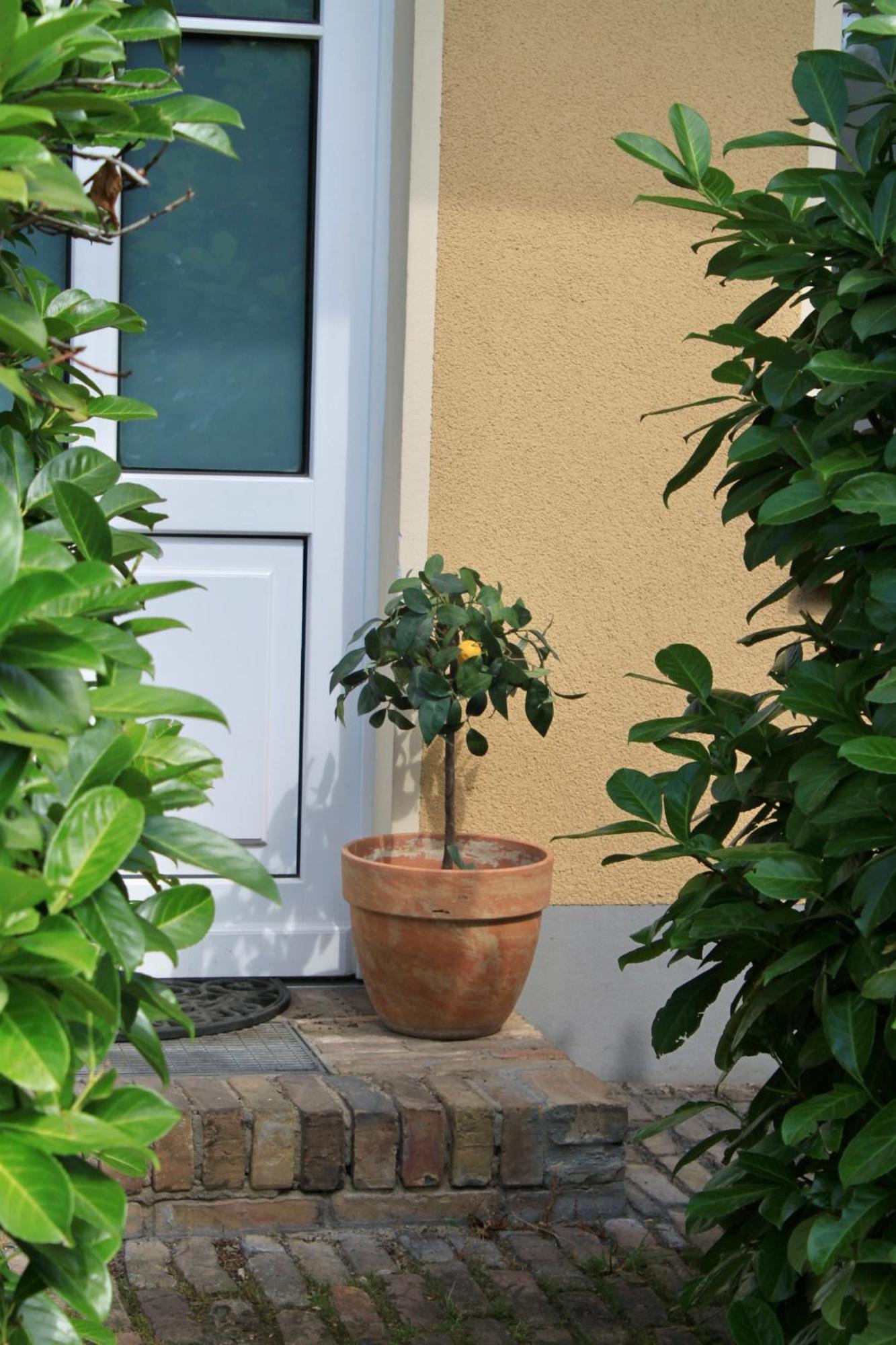 Seebadhof - Kaiser Appartement Rangsdorf